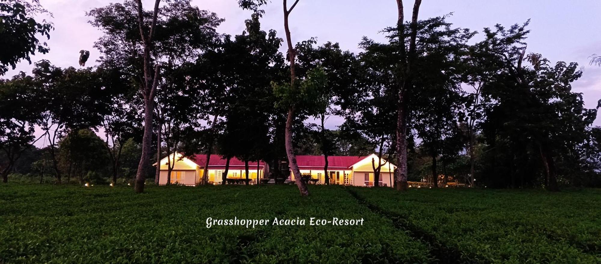 Grasshopper Acacia Eco Resort Madari Hat Eksteriør bilde