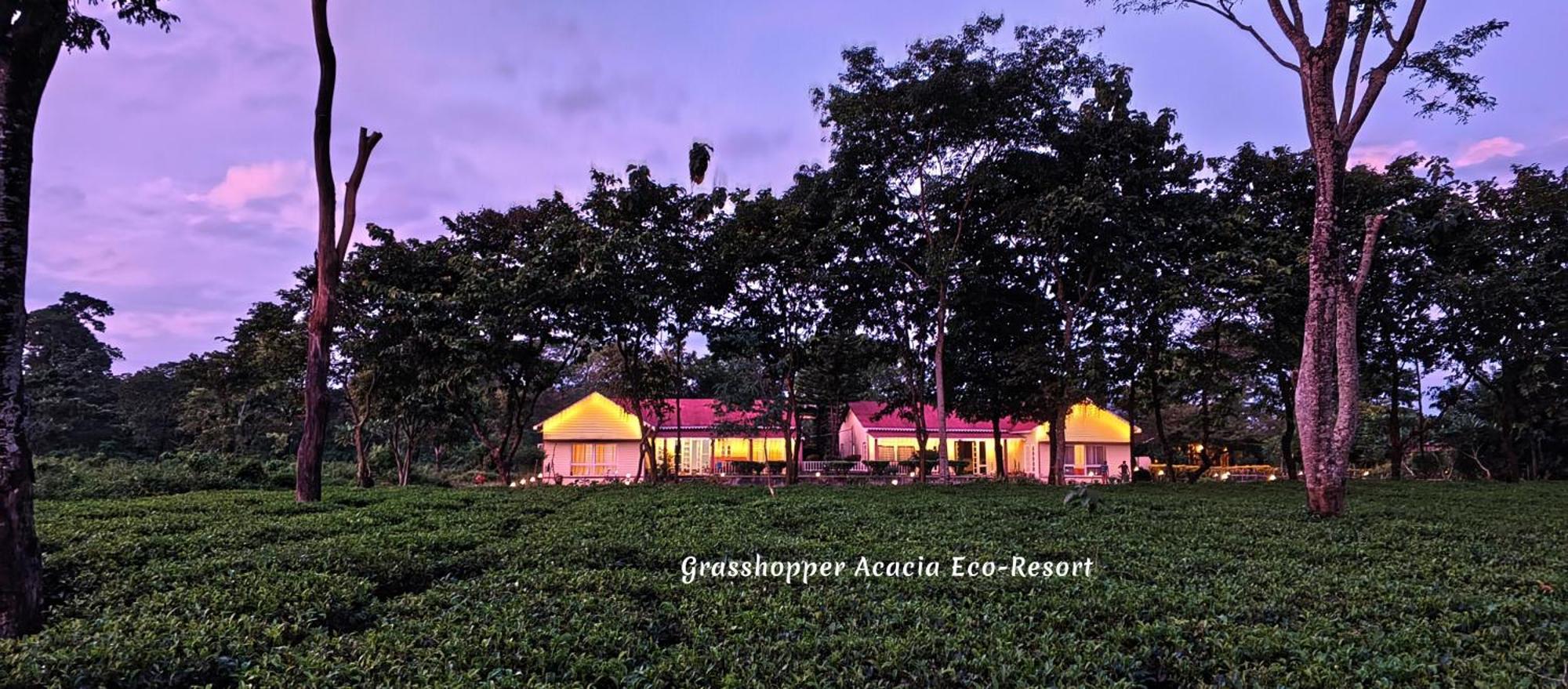 Grasshopper Acacia Eco Resort Madari Hat Eksteriør bilde